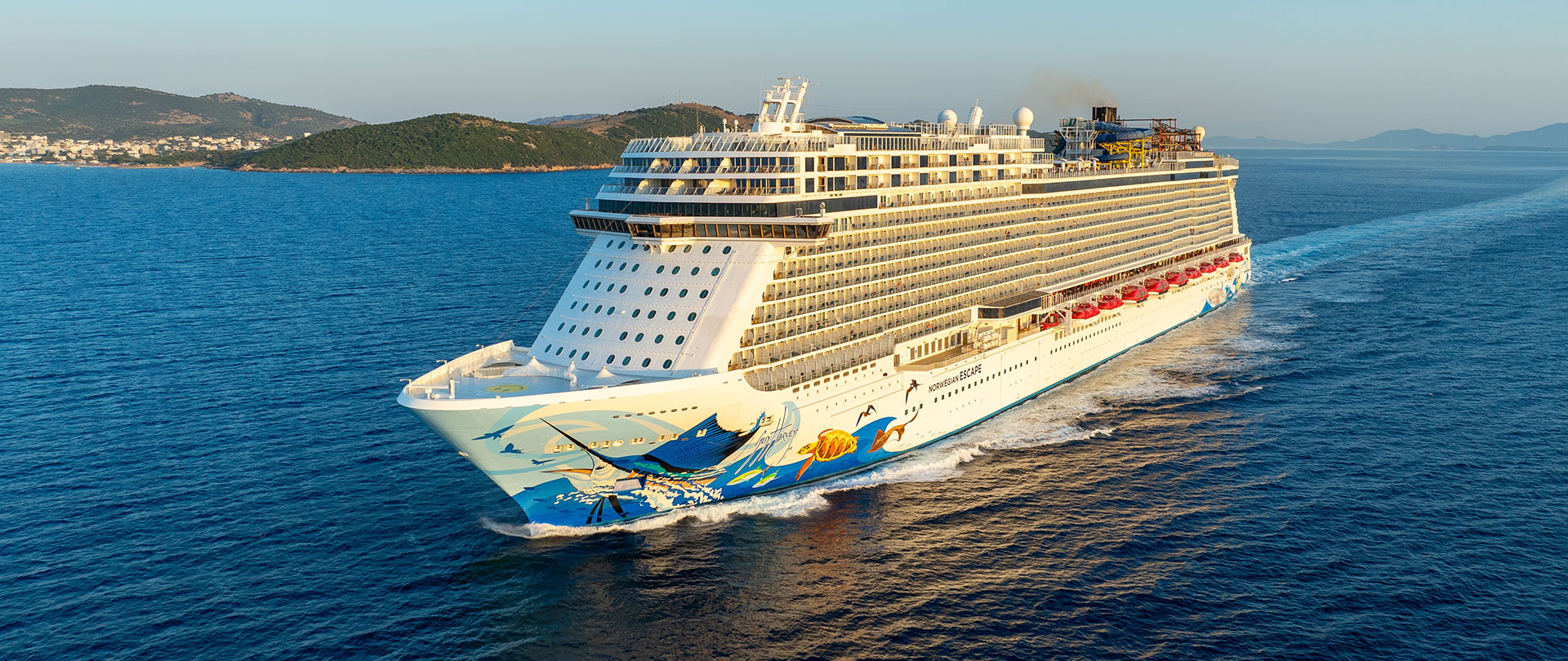 cruise banner